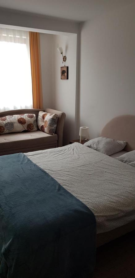 Dobricin Konak, Apartman 202 Копаоник Экстерьер фото