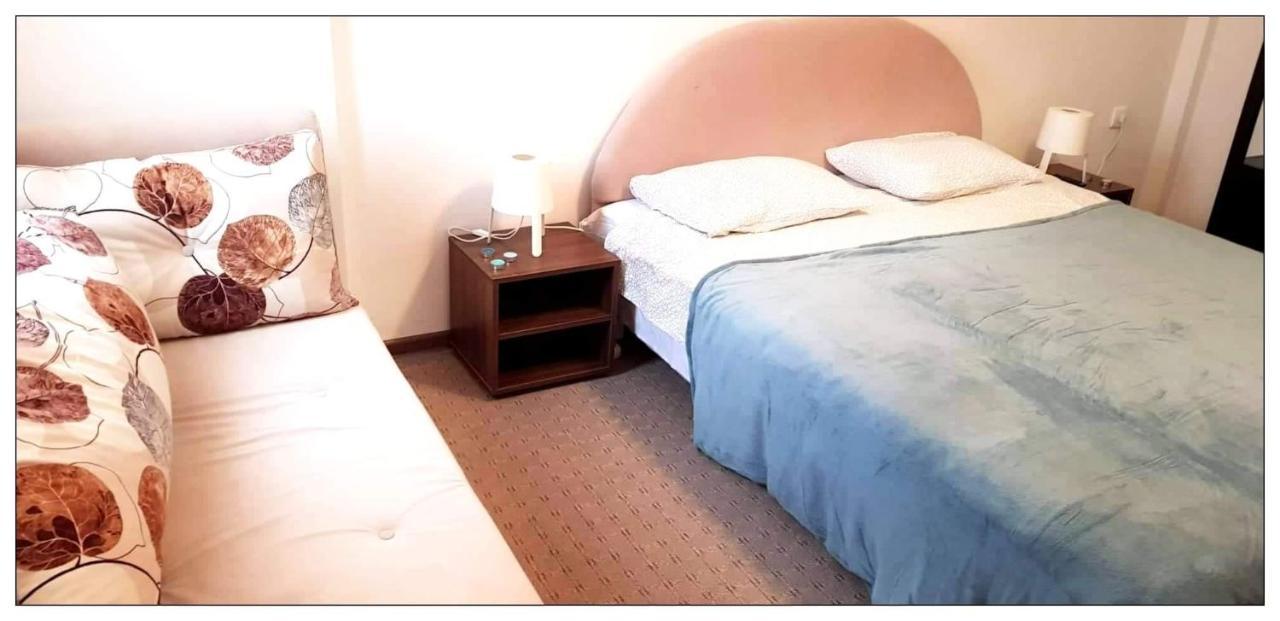 Dobricin Konak, Apartman 202 Копаоник Экстерьер фото