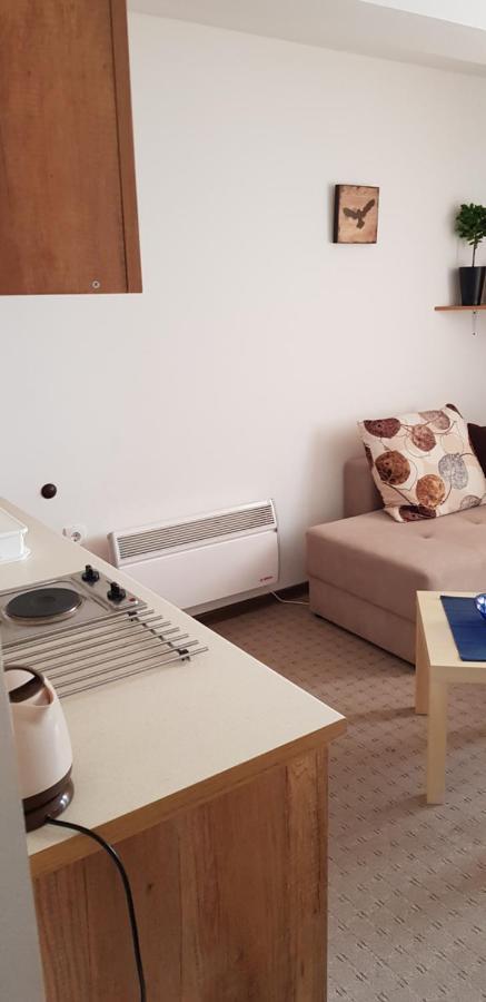 Dobricin Konak, Apartman 202 Копаоник Экстерьер фото